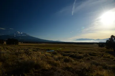 DSC_3011 (Large).JPG